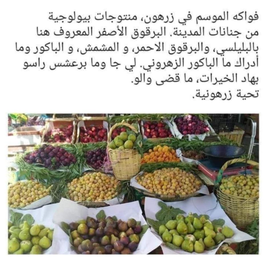 Riad Lala Zakia Moulay Idriss Eksteriør billede